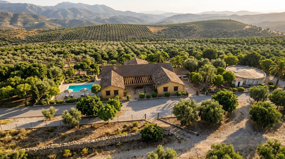 Lumina: photoreal visualisation of the arrival, house, pool and water tank above the Rio Verde valley
