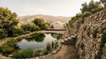 Lumina: photoreal visualisation of the natural swimming pool, sun deck and geodesic dome
